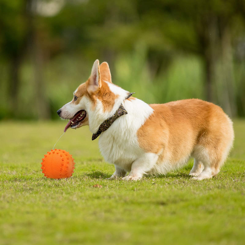 Dog Toy Ball Squeaky, Durable Natural Rubber Dog Toys for Aggressive Chewers, Interactive Dog Toys Training and Cleaning Teeth for Small Medium Dog (Green) Green-2.6in - PawsPlanet Australia