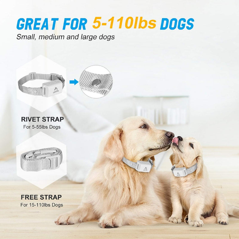 [Australia] - PATPET Dog Bark Collar with No-Shock Mode & Automatic Mode, Bark Collar for Dogs Without False Activated, Training Collar & No Bark Collar for Small Medium Large Dogs 1-receiver 