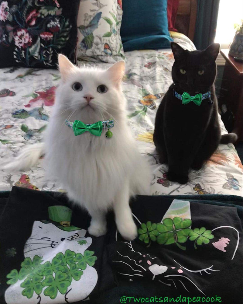 BoomBone 2 Pack Shamrock Cat Collar,Puppy Collar with Bell - PawsPlanet Australia