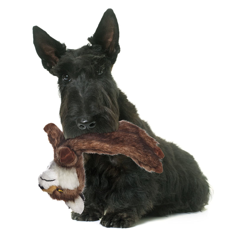 Pistachio Pet Plush Dog Toy - Unstuffed Fox With Squeaker. (Small) Small - PawsPlanet Australia
