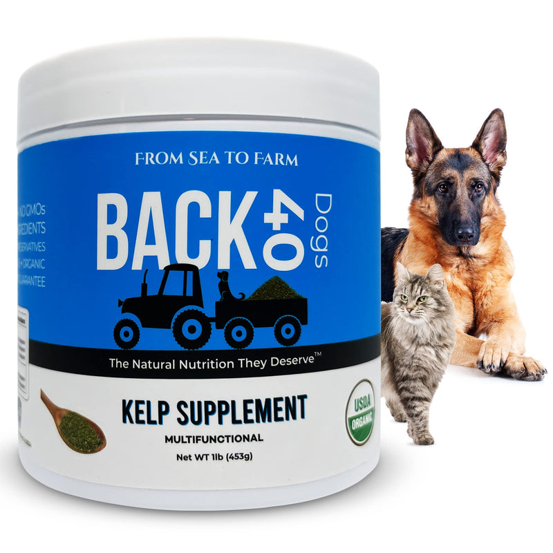 Back 40 Dogs - Organic Dried Seaweed Powder for Dogs & Cats - Iodine & Antioxidant Rich - Multifunctional Thyroid, Heart, Coat, Skin, Immune & Digestion Support - Kelp for Dogs - Made in The USA - PawsPlanet Australia