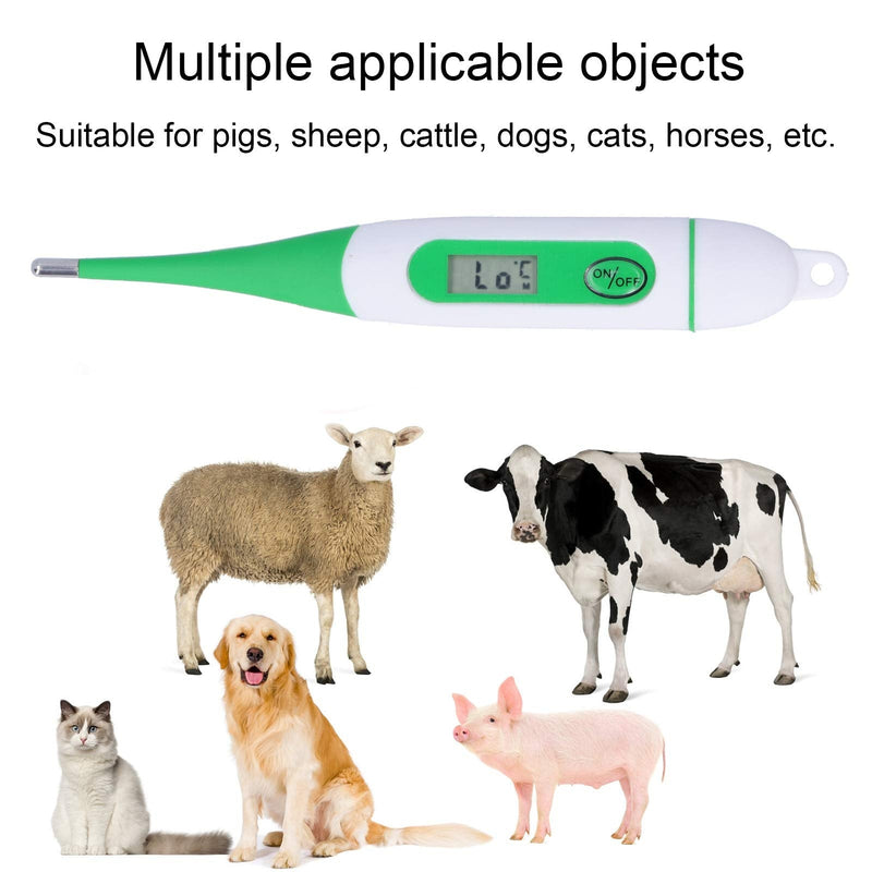 Cikonielf Animal Thermometer Veterinary Electronic Thermometer Waterproof Digital Thermometer Pet Thermometer Digital Livestock Sheep Horses Farm Animal Thermometer for Dogs Horses Cats - PawsPlanet Australia