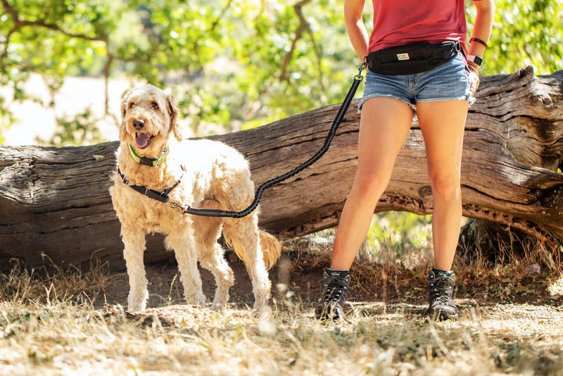 One Trail Hands Free Dog Lead | Durable Bungee Leash With No-Bounce Pack (Large Dog, Black) Large Dog - PawsPlanet Australia