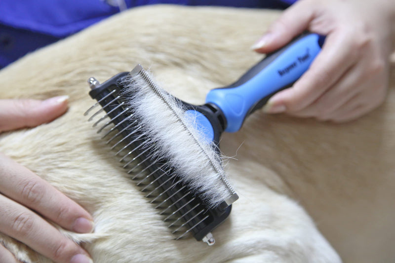 Maxpower Planet Cat Brush Deshedding and Dematting Tool for Dogs Double Sided Undercoat Rake Removes Loose Hair Large Blue - PawsPlanet Australia