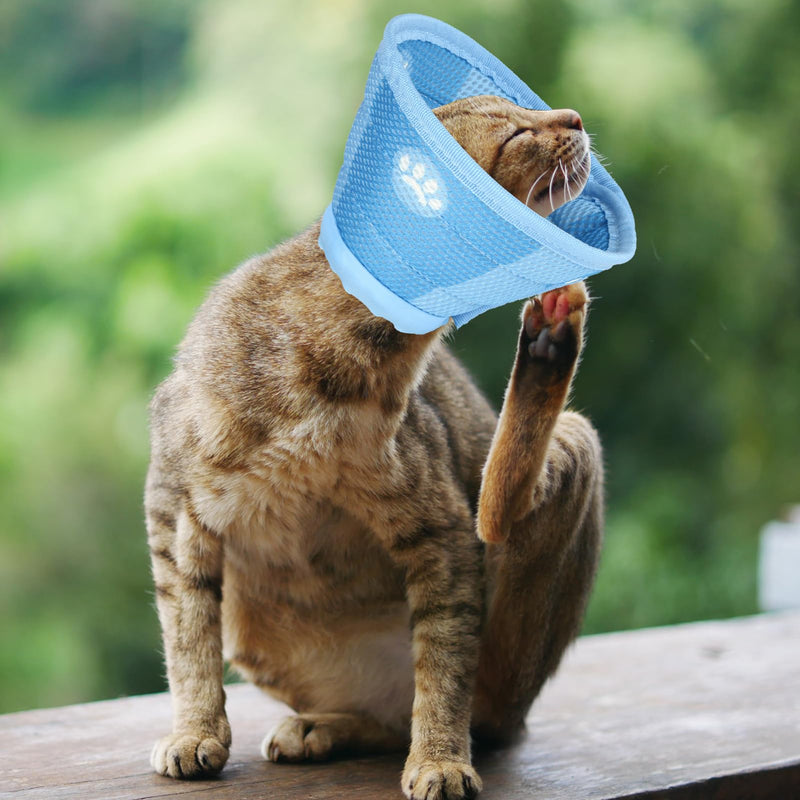 Protective Cat Collar, Adjustable Neck Brace Cat Collar - Deal for Recovery After Surgery and Injuries, Tapered Soft Collar for Puppies - Small Dogs and Cats - PawsPlanet Australia
