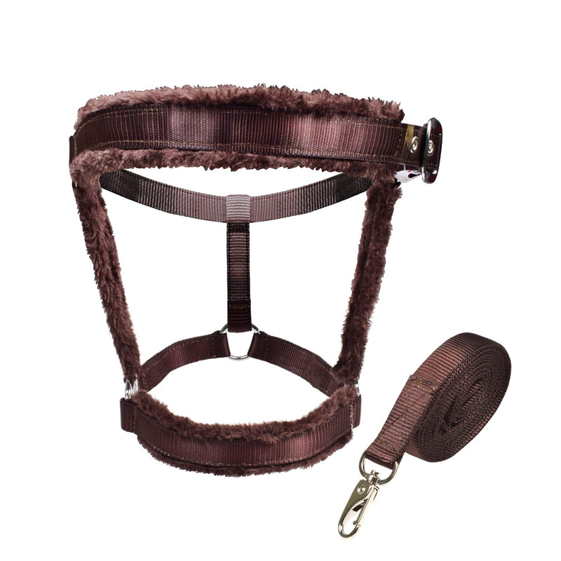 Royalian Equestrian Horse Nylon Padded Fleece Halter With Lead Comfort Protection Head Collar Breakaway Crown Fleece-Lined Cheeks Licols For Safe Riding (Brown) - PawsPlanet Australia