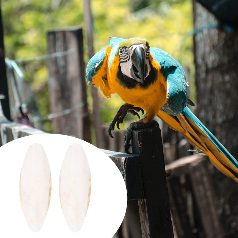 Balacoo 12Pcs 10cm Bird Desalting Cuttlebone Toy Cuttlefish Sepia Bone Training Chew Molar Toy for Parrot - PawsPlanet Australia