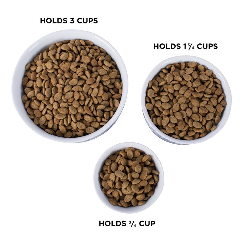 Bone Dry Paw & Patch Ceramic Pet Collection Small Bowl, 4.25x2" Gray - PawsPlanet Australia