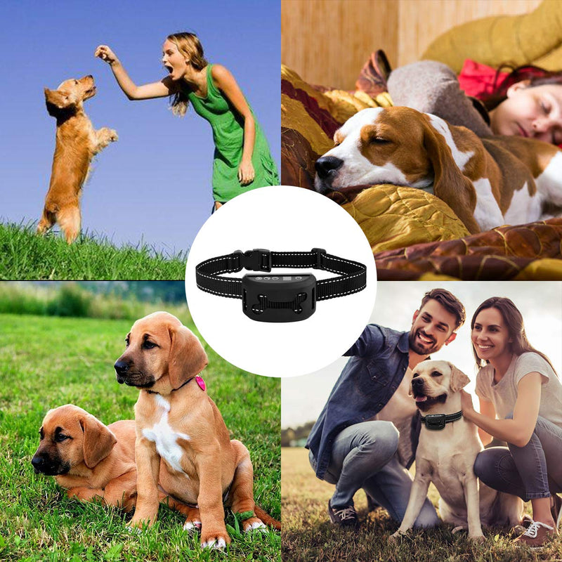 Dog Anti Bark Collar, Supernight Dog Barking Collars Stop Barking with Adjustable Belt Waterproof No Shock Harmless&Humane Training Control Strap, 7 Sensitivity Levels of Sound Vibration for S/M/L Dog - PawsPlanet Australia