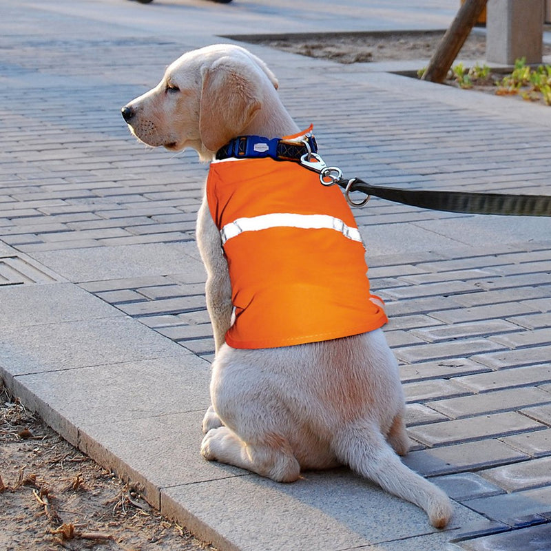 [Australia] - VIZPET Reflective Dog Vest with Lightweight Adjustable Strap & Comfortable Material Ideal to Keep Dogs Safe While Walking & Hunting Large orange 