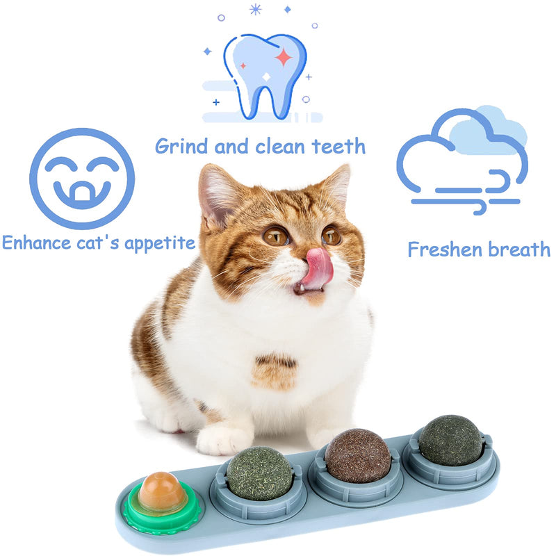 Uoeo 8 Pack Catnip Wall Ball with 4 Pcs Catnip Ball Toys, Edible Licking Balls Rotatable Licking Treats Toys Cat Interactive Catnip Balls for Cat Playing Chewing Cleaning Teeth Toy - PawsPlanet Australia