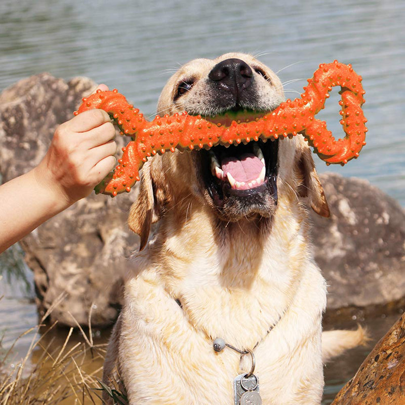 Cyleibe Dog Bones for Aggressive Chewers, Dog Chews Toys Long Lasting, Interactive Dog Bone Toys with Pull Band, Dog Teething Toy 13" Solid Bone Shape for Medium Large Dog - Orange - PawsPlanet Australia