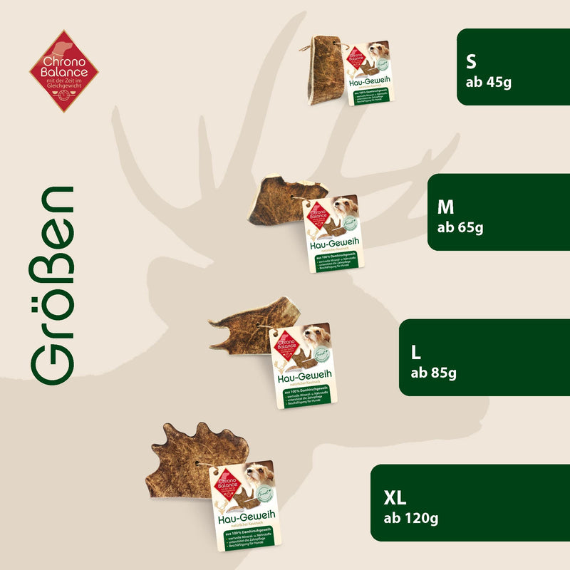 ChronoBalance® Chewing Antlers Fallow Deer for Dogs: M Chew Toy 100% Antler Drop Bar: Chew Bar Dog Toy for Dental Care, Natural Chew Snack, Minerals & Nutrients M (Pack of 1) - PawsPlanet Australia