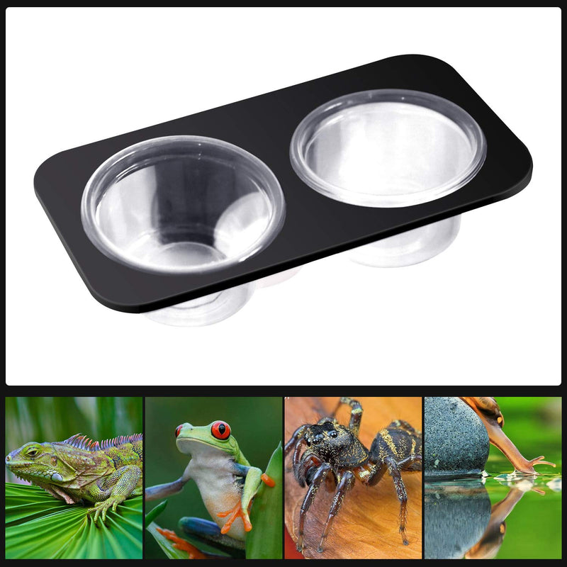 2 Bowls Gecko Feeding Ledge, Reptile Suction Cup Food Dish for Snakes Lizards Spiders Chameleons Corn Snakes Iguanas Reptiles - PawsPlanet Australia