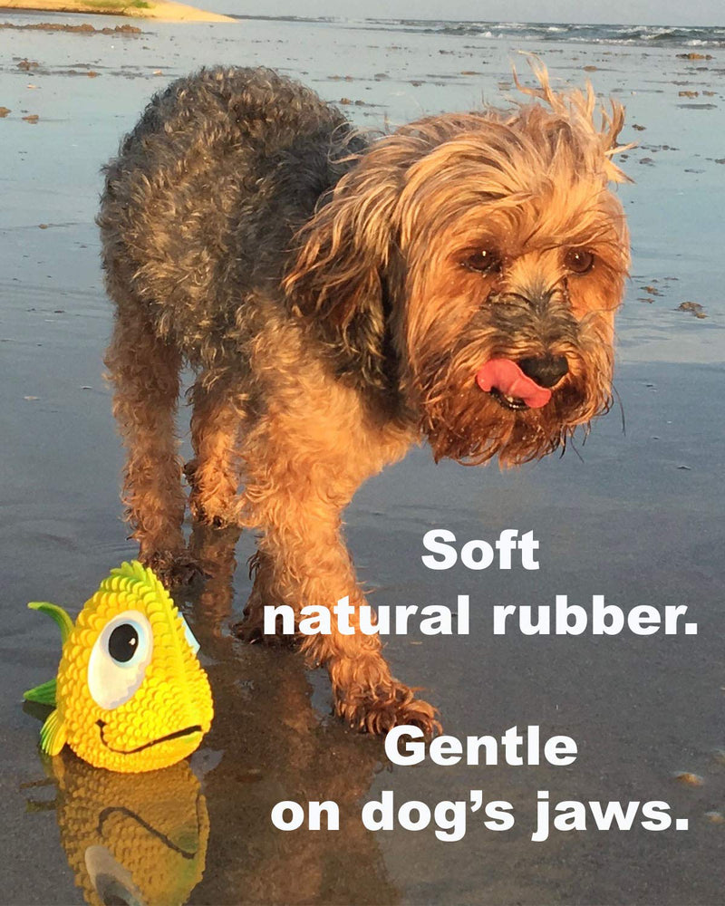 [Australia] - Sensory Fish - Squeaky Dog Toys - Soft, Natural Rubber (Latex) - for Puppies, Small Dogs, Medium Dogs, Blind Dogs - Indoor Play - Complies with Same Safety Standards as Children's Toys 
