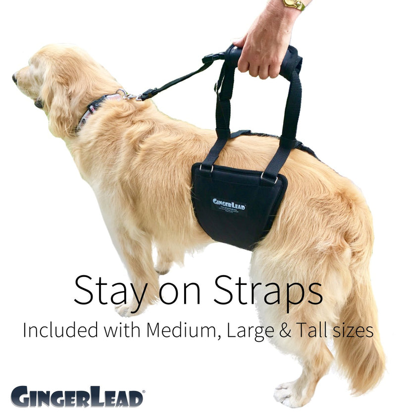 [Australia] - GingerLead Dog Support & Rehabilitation Harnesses - Padded Sling with Leash for Comfort and Control Medium-Large Unisex 