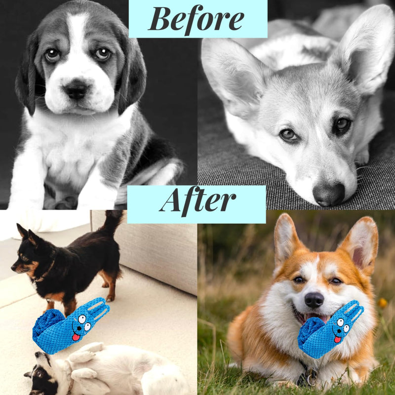 CIIVURR Dog Toy Intelligence with Squeaky, Interactive Dog Toy Indestructible Sniffing Carpet for Dogs Training, Sniffing Toy Dog Toy for Medium and Small Dogs - PawsPlanet Australia