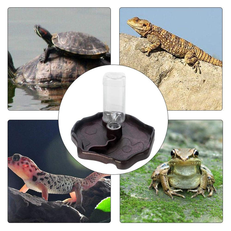 Tfwadmx Reptile Water Bottle, Turtle Food and Water Bowl Automatic Feeders Waterer Tortoise Dispenser Bottle Feeding Dish for Lizard Chameleon - PawsPlanet Australia