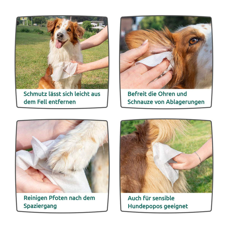 AniForte Wet Wipes for Dogs 100 Pack - XXL Natural & Biodegradable Deodorising Cleaning Wipes with Extra Fresh Scent, Hypoallergenic, Extra Mild, Gentle, Non-Tear - PawsPlanet Australia