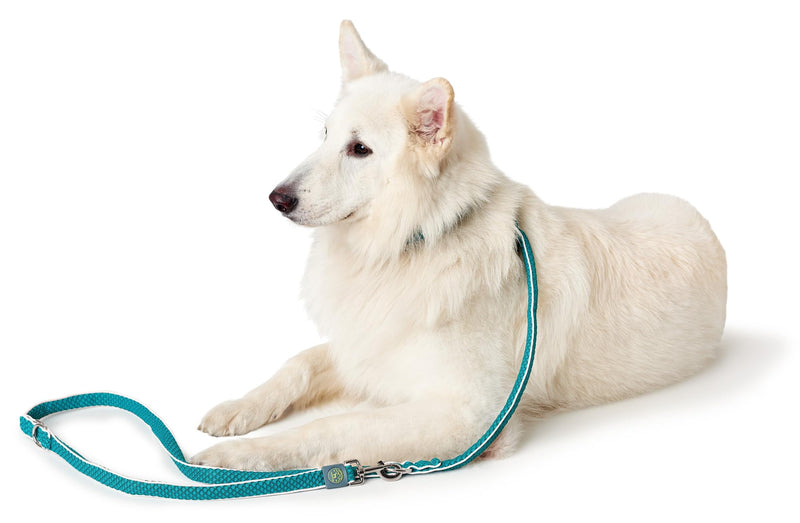 HUNTER HILO Adjustable dog lead, with lightweight mesh material, 2.0 x 200 cm, turquoise - PawsPlanet Australia