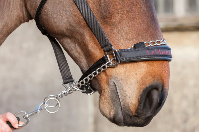 LeMieux Pro-Safe Headcollar for Horses & Ponies in Black - Adjustable for Perfect Control in Hand Use Only Cob - PawsPlanet Australia