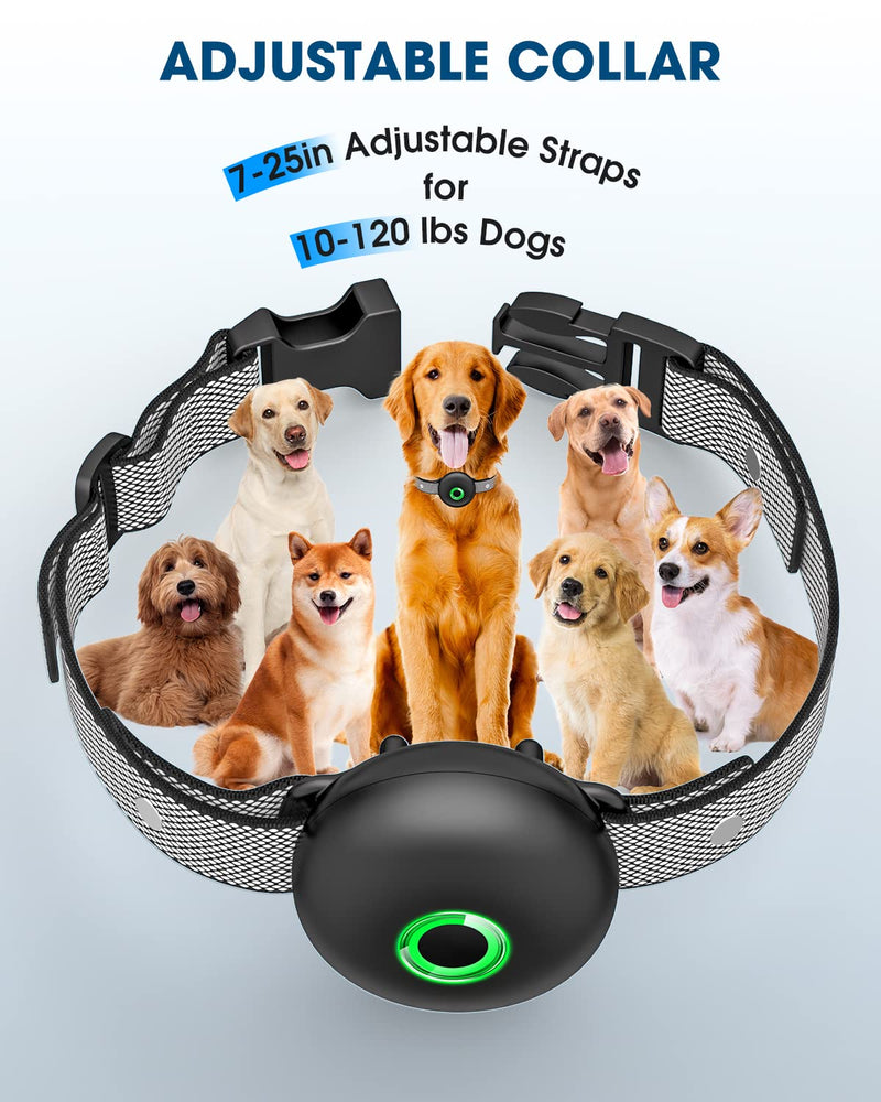 Dog Shock Collar Training Collar with Remote, Shock Collar for Large Medium Small Dogs, Waterproof E-Collar with 3 Modes, Light Mode 1-Black - PawsPlanet Australia