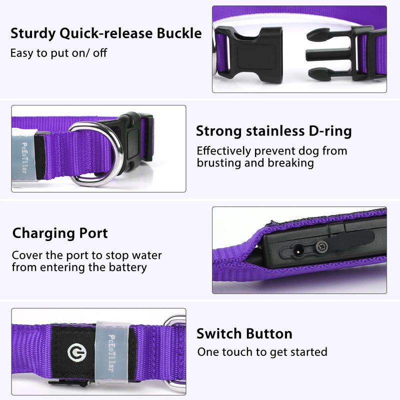 Light Up Dog Collar, LED Dog Collar Light USB Rechargeable and 100% Waterproof, 7 Colors Change Glowing Dogs Collar Super Bright Dog Light Up Collar for the Dark for Small Medium Large Dogs, Purple S S (Pack of 1) - PawsPlanet Australia