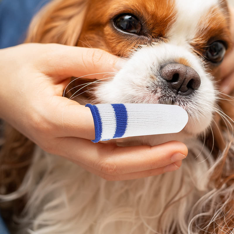 OusSee Pack of 10 Dog Toothbrush Finger Cots Reusable Pet Finger Toothbrush Finger Cots Dogs Dental Care Pet Toothbrush for Cats Pets Animal Supplies (5×Blue, 5×Yellow) - PawsPlanet Australia