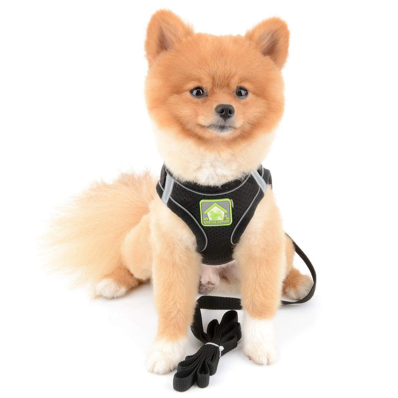 SMALLLEE_LUCKY_STORE Soft Mesh Step-in Small Dog/Cat Harness and Lead Set for Walking Reflective Puppy Vest Harness Outdoor Training,Black,Size M M(chest 40cm,for 3-5kg) black-style1 - PawsPlanet Australia