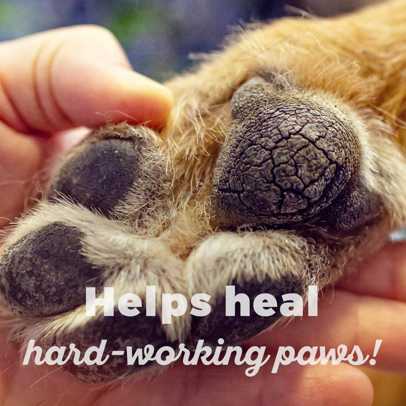 [Australia] - Fieldworks Supply Company 100% Natural and Organic Vet Formulated Paw Repair and Protection Balm. Heals, Soothes and Helps with Cracked and Dry Paws. Great for Noses. from Makers of Moosh. 4oz 