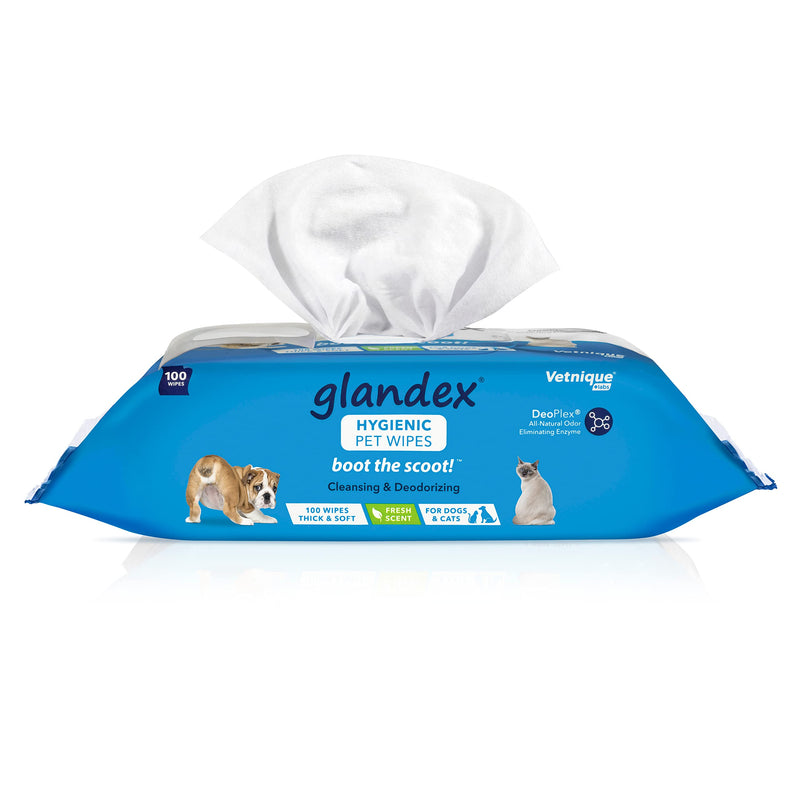 glandex Dog Wipes for Pets Cleansing & Deodorizing Anal Gland Hygienic Wipes for Dogs & Cats with Vitamin E, Skin Conditioners and Aloe - by Vetnique Labs (100ct Pouch) - PawsPlanet Australia