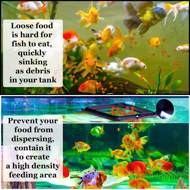 SunGrow Feeding Ring, 4x4 Inches, Floating Food Square, Suitable for Flakes and Floating Fish Food for Goldfish and Other Smaller Fish - PawsPlanet Australia