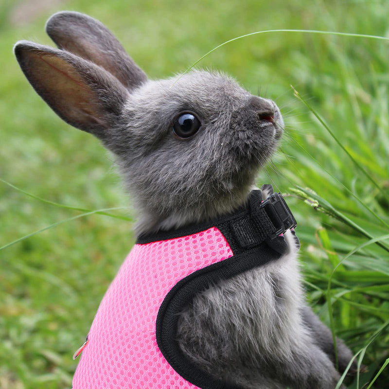 4 Pieces Rabbit Harness and Leash Set Bunny Leash Buckle Breathable Mesh Vest Rabbit Accessories for Kitten Puppy Small Pets Walking - PawsPlanet Australia