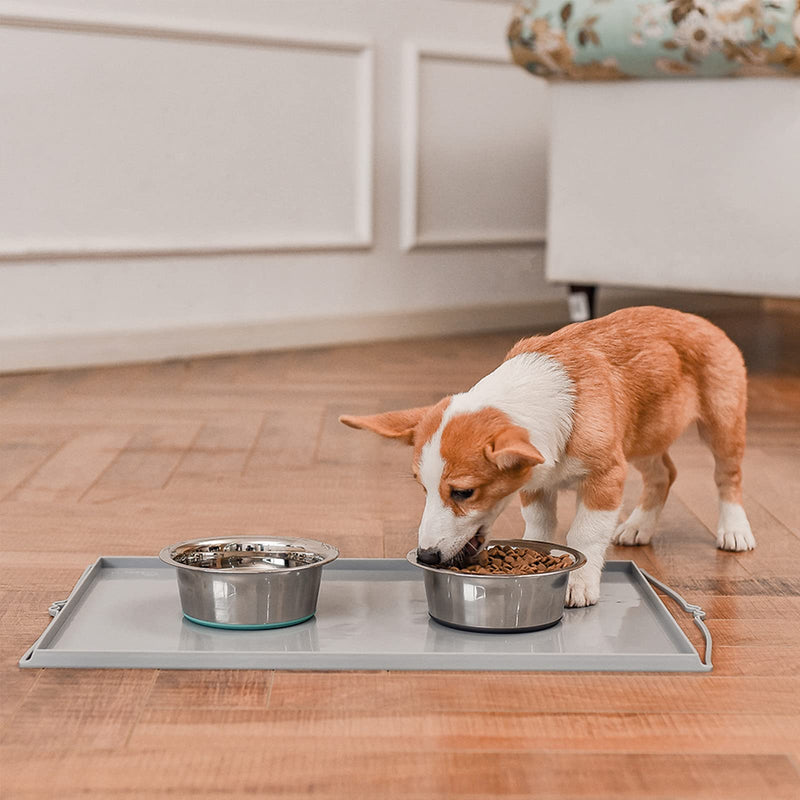 PEGGY11 Deep Stainless Steel Dog Bowls (2 Count) | Nonslip Silicone Bottom Design | Ideal Food and Water Bowls for Small, Medium, and Large Dogs (Each Bowl Holds 720 ML, for Small-Sized Dogs) 720 ml (Pack of 2) 2 Pack: Blue & Grey - PawsPlanet Australia