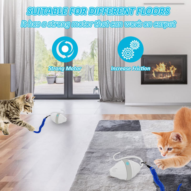 Harnestle Cat Toys Interactive Automatic Kitten Toys with Feathers Ribbon Bell Worm, USB Charging Led Light 360° Irregular Rolling Cat Moving Toys for Indoor Cats Exercise and Hunting - PawsPlanet Australia