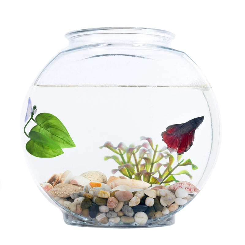 URATOT 4 Pack Betta Fish Leaf Pad Simulating The Natural Habitat for Betta Spawning Grounds Breeding Resting Bed - PawsPlanet Australia