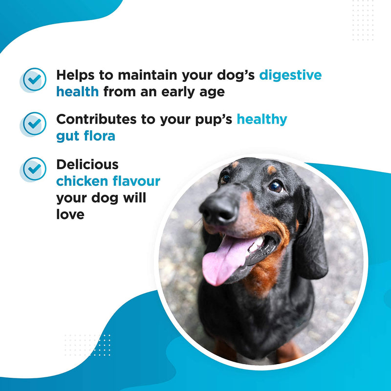 Advanced Probiotic & Prebiotic for Dogs & Puppies with Sensitive Stomachs, Gas (120 Tablets); Digestive Enzymes to Better Digestive & Immune Health; 2 Billion CFUs per Tablet; UK Made - PawsPlanet Australia