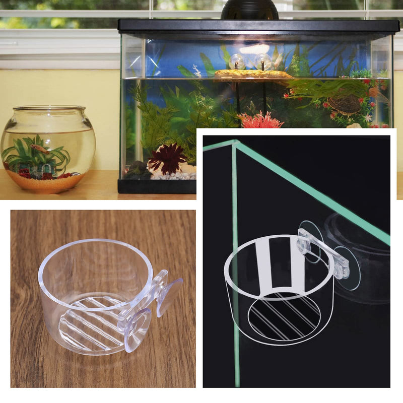 4PCS Red Worm Feeder with Sucker Fish Tank Plant Shrimp Acrylic Feeding Bowl Bloodworm Water Food Dish Transparent Feeding Cup for Fish Shrimp Fish Tank - PawsPlanet Australia