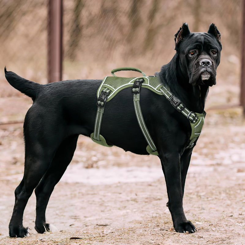 HEELE dog harness, escape-proof, buckle in the neck area, reflective, chest harness with robust handle, panic harness for dogs, dog harness with a stable impression, fits like a glove, green, XL - PawsPlanet Australia