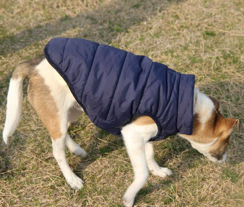 JoyDaog 2 Layers Fleece Lined Warm Dog Jacket for Puppy Winter Cold Weather,Soft Windproof Small Dog Coat XX-Large (Pack of 1) Blue - PawsPlanet Australia