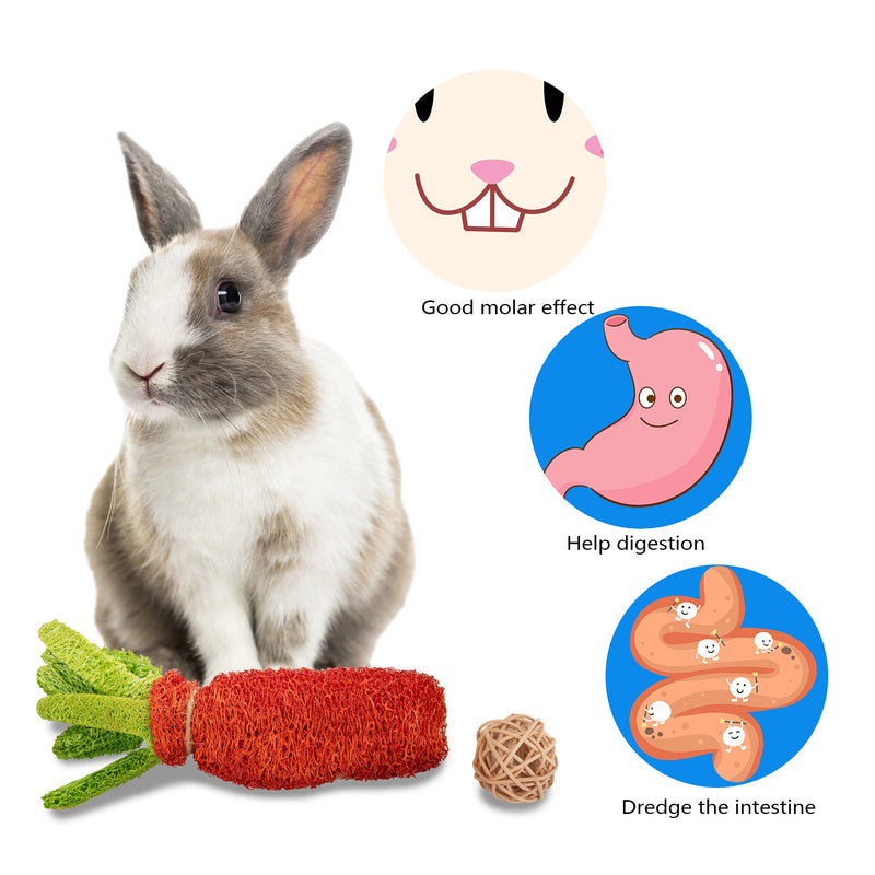 EBaokuup 16 PCS Bunny Chew Toys for Teeth, Rabbit Hamster Chew Toys for Dental Health, 100% Natural Apple Wood Grass Ball String Loofah Carrot Toys for Chinchillas, Guinea Pigs, Hamsters - PawsPlanet Australia