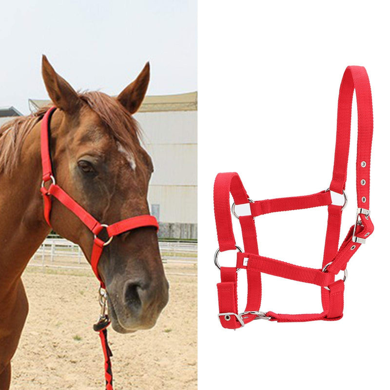 Horse Bridle, Adjustable Red Horse Riding Halter, PP Replacement for Restraint Horse Control Horse - PawsPlanet Australia