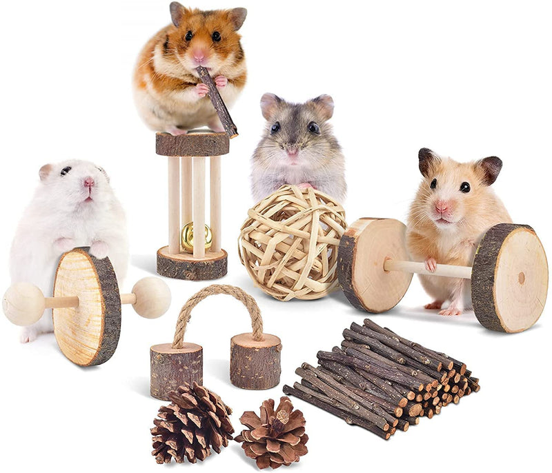 ERKOON Hamster Chew Toys, 11 Pieces Rabbit Chew Toys, Natural Wooden Dumbbells, Hamster Physiotherapy Toys, Chinchilla Guinea Pig Toy Accessories B - PawsPlanet Australia