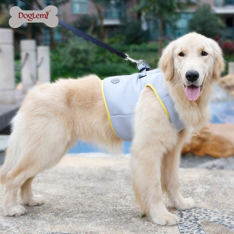 Dog Vest Harnesses, Jacket Harness no pull Sport Harness for Outdoor Training Walking(M) M (Chest: 43-47CM) - PawsPlanet Australia