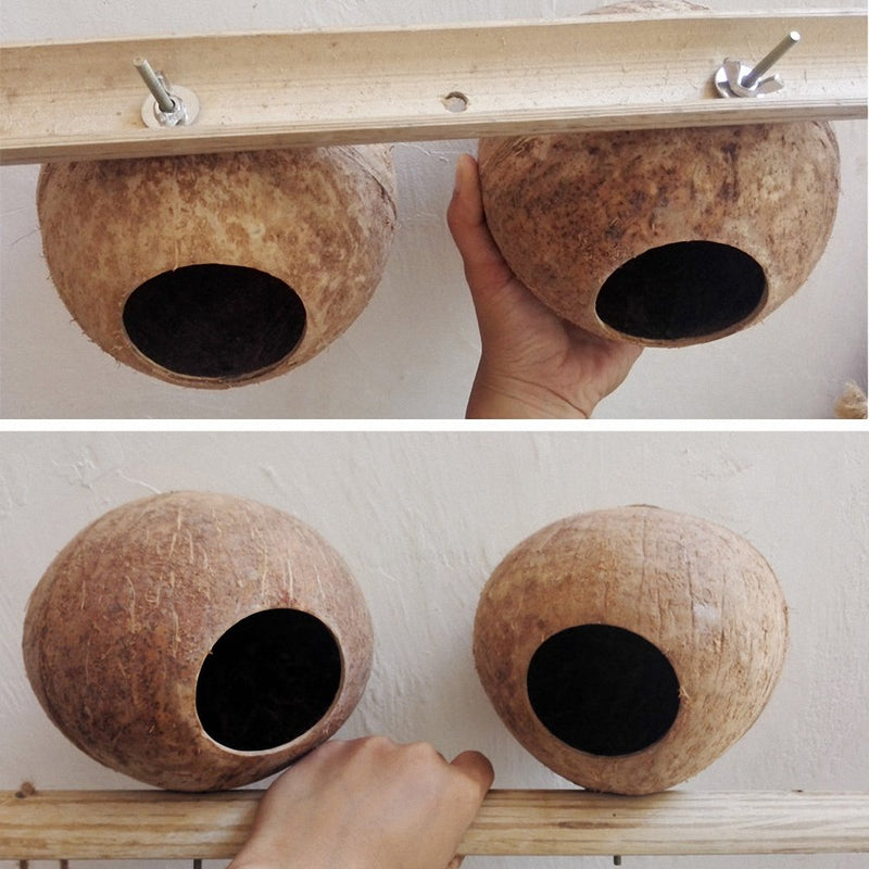 [Australia] - OMEM Coconut Shell Bird House,House for a Hamster,Bird Cage Toy,Pet Bird Supplies L 