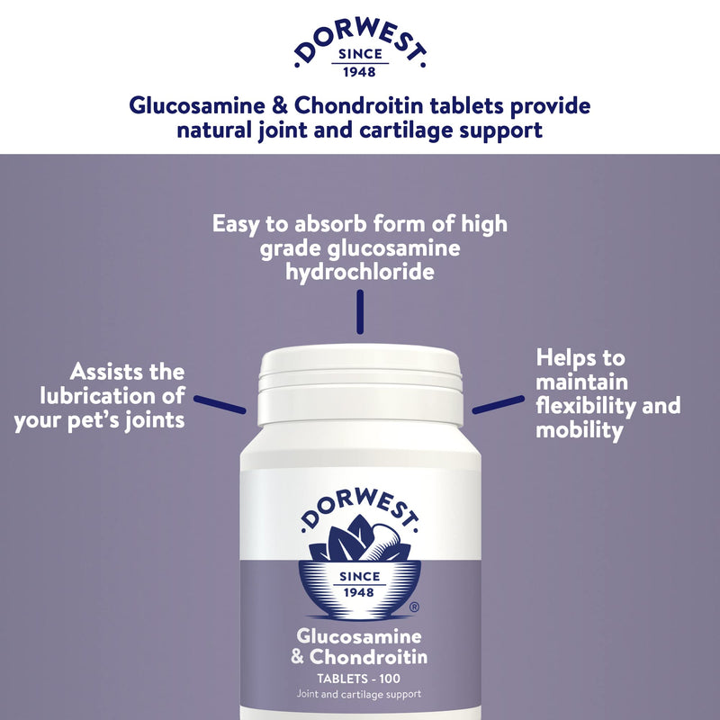 Dorwest Glucosamine & Chondroitin 100 Tablets for Dogs and Cats, Joint Supplements for Dogs and Cats – Supports Joint Mobility and Comfort & Garlic & Fenugreek Tablets for Dogs and Cats 100 Tablets 100 Count (Pack of 1) + Garlic & Fenugreek Tablets - PawsPlanet Australia