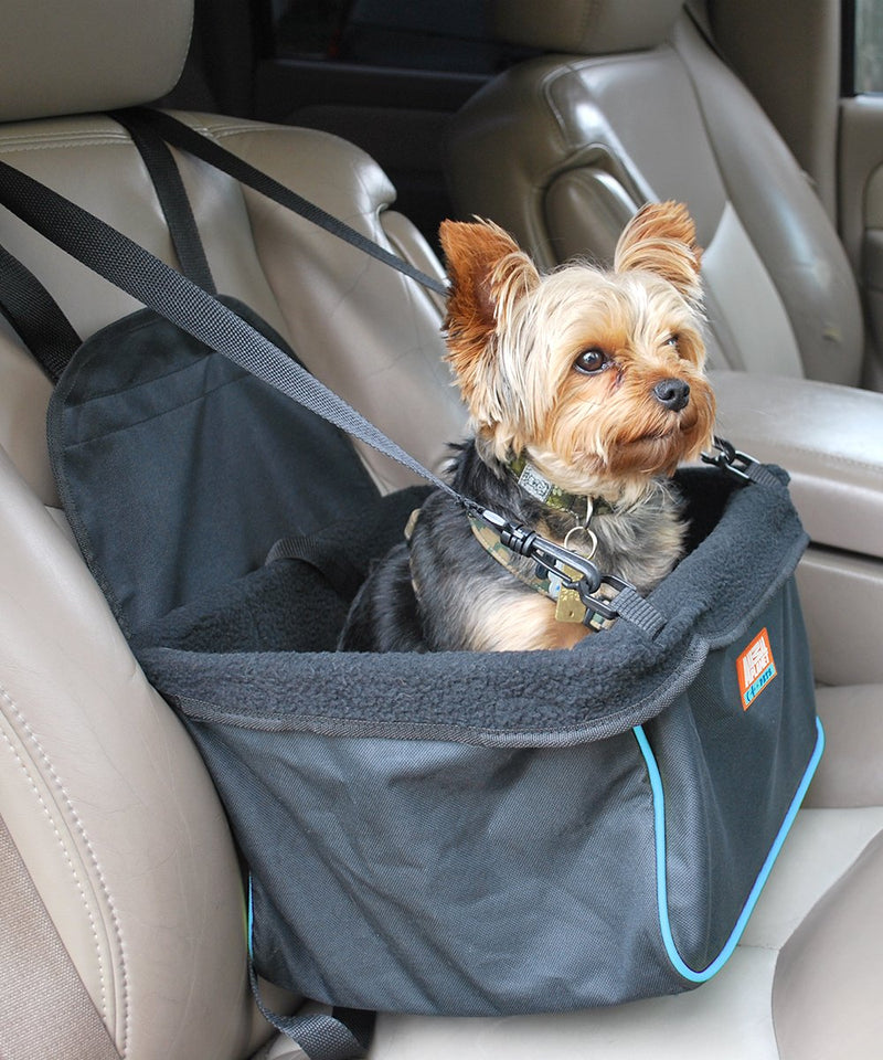 [Australia] - Animal Planet Puppy Booster Car Seat Cover for Small Dogs - Portable, Foldable, Collapsable Pet Car Carrier with Safety Leash - 12Lbs & Under Black with Blue Trim 