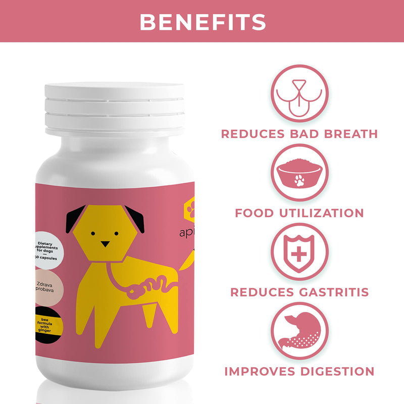 ApiPet Gastro - Digestive Health Support Formula for Dogs - Nutritional Pet Supplement with Bee Pollen, Propolis & Ginger - Helps Eliminate Bad Breath & Promotes Better Digestion - 60 Capsules - PawsPlanet Australia