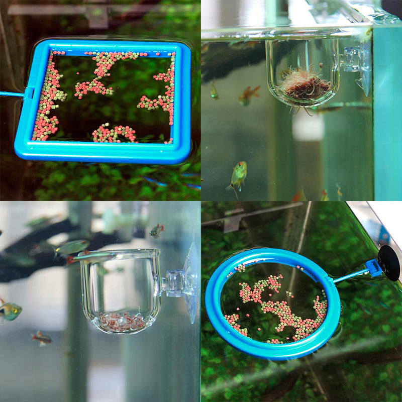 Aquarium Fish Feeder Set,2 Pcs Fish Feeding Ring and 2 Pcs Acrylic Floating Bloodworm Feeding Cup for Fish Tank Accessories - PawsPlanet Australia