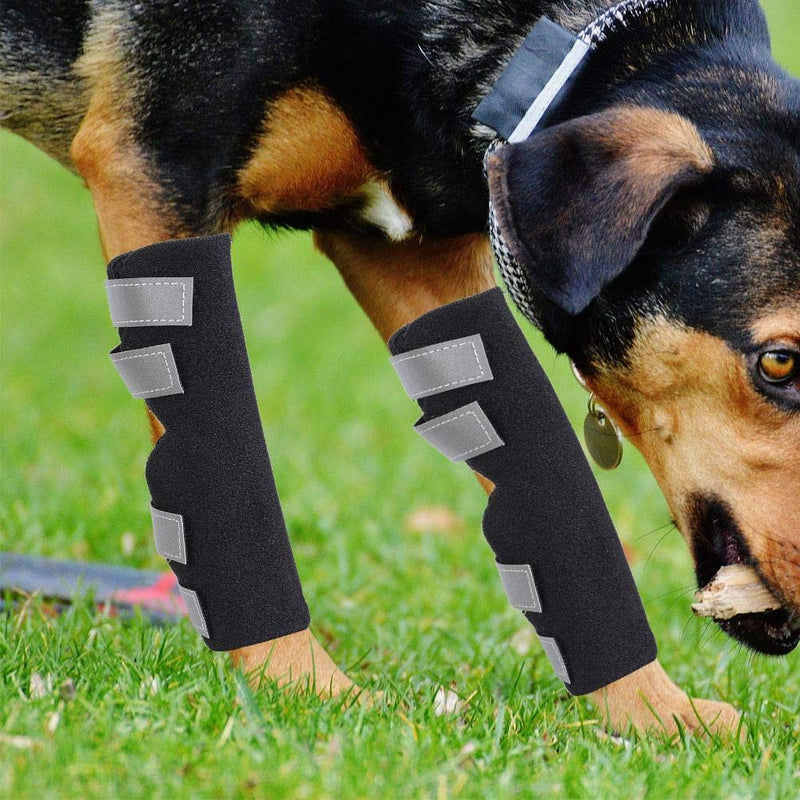 Dog Rear Leg Brace Canine Hock Wrap Joint Brace Hind Leg Support with Safety Reflective Straps Prevents Injuries Sprains Helps Loss Stability (L) L - PawsPlanet Australia